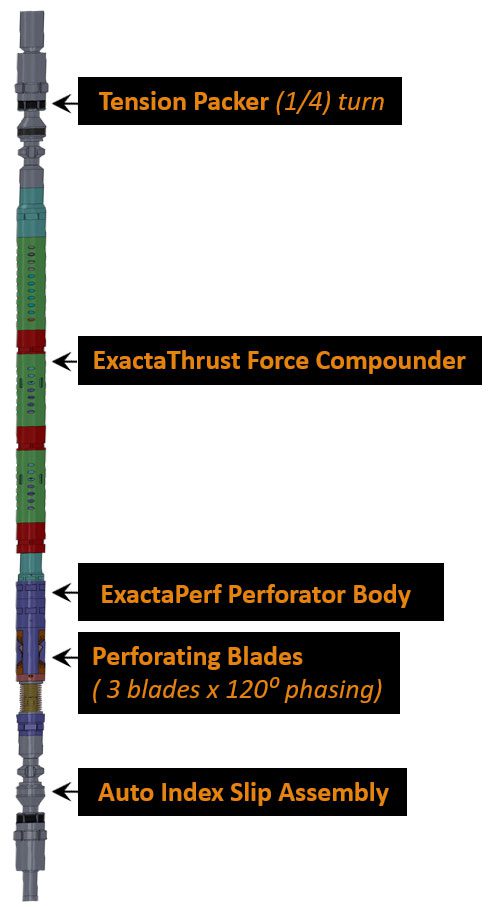 exactaperf-diagram-vertical